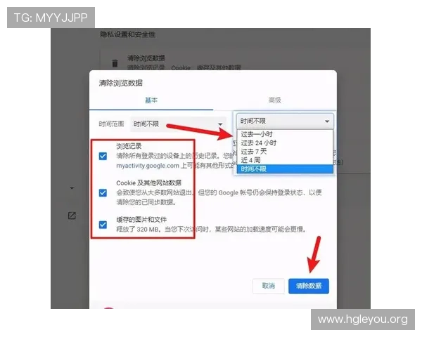 提升大发娱乐网站登录成功率的实用技巧与常见错误排查指南